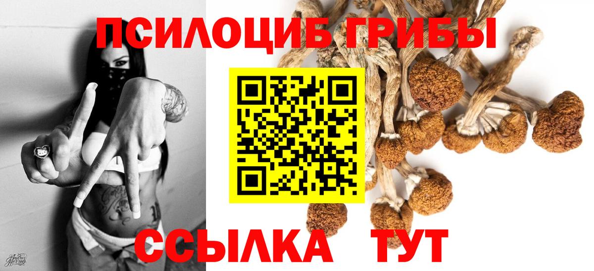Городец  Псилоцибиновые грибы GOLDEN TEACHER  Вход с VPN 
