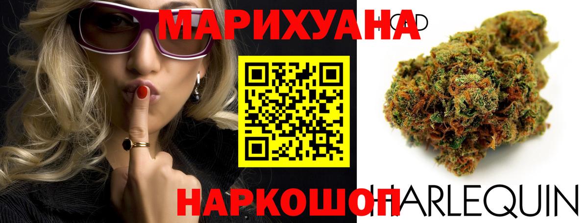 Бошки марихуана сатива  Вход с VPN  Бошки Шишки SATIVA & INDICA  Городец  Шишки марихуана White Widow 